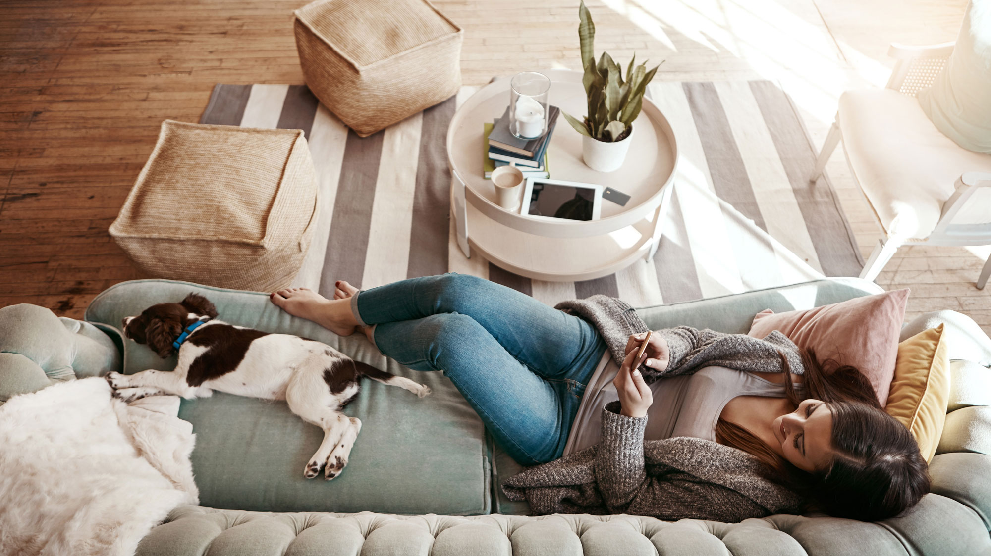 Young woman looking at her phone while laying on a couch with a dog