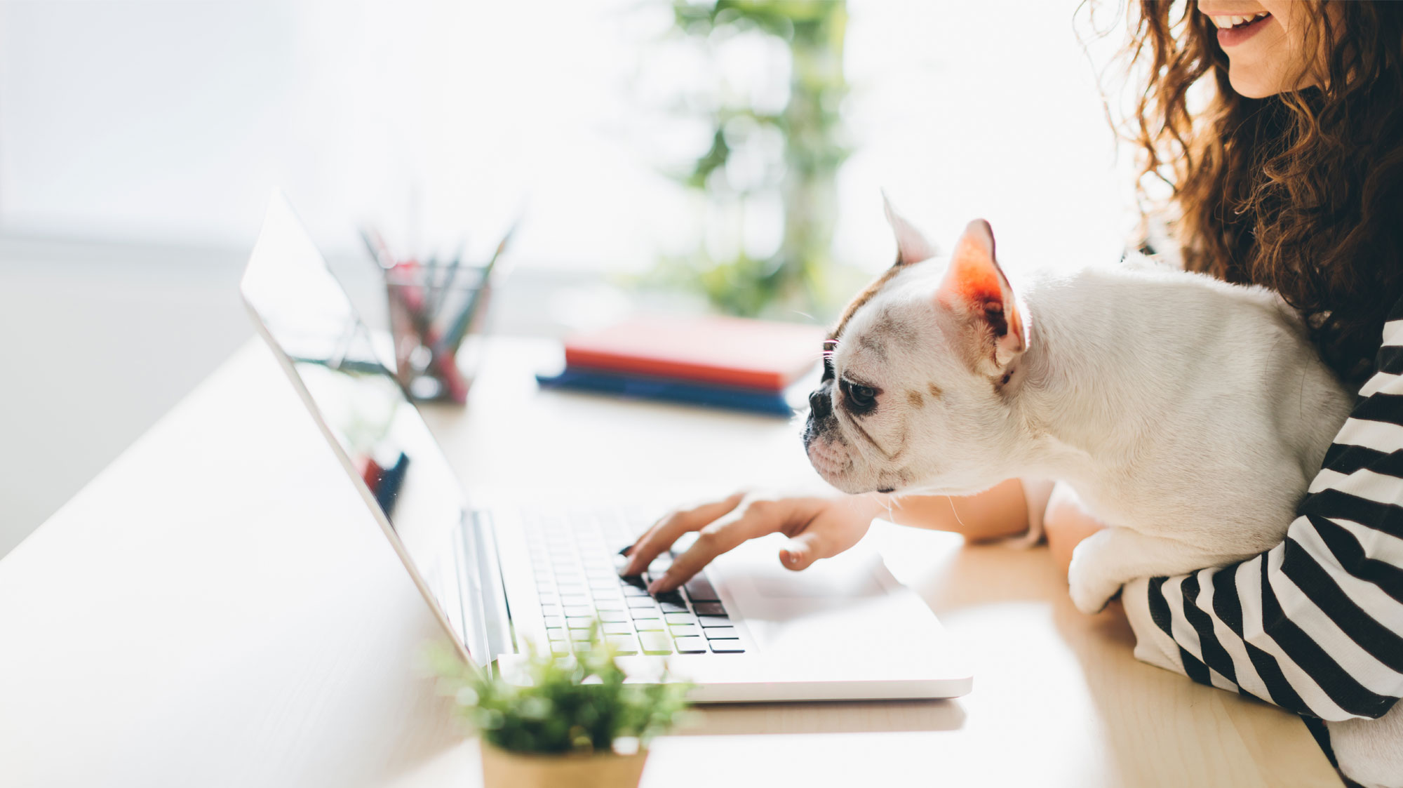 woman with dog on computer